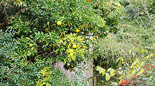 dsc00168_thumb.jpg