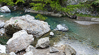 dsc00172_thumb.jpg