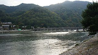 dsc00174_thumb.jpg