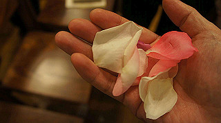 dsc00013_thumb.jpg