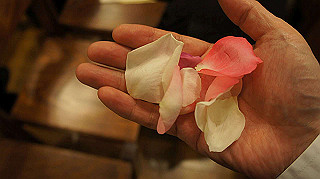 dsc00014_thumb.jpg