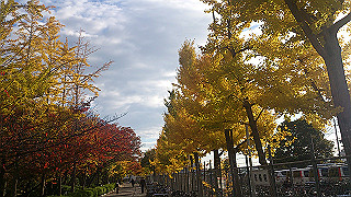 dsc_0867_thumb.jpg