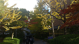 dsc_0868_thumb.jpg