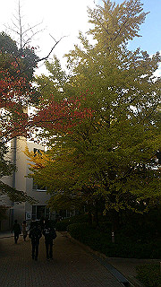 dsc_0869_thumb.jpg