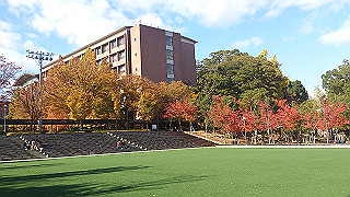 dsc_0871_thumb.jpg