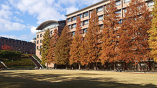 dsc_0874_thumb.jpg