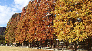 dsc_0875_thumb.jpg