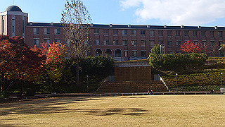 dsc_0876_thumb.jpg