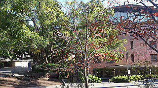 dsc_0881_thumb.jpg