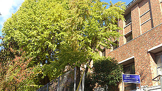 dsc_0884_thumb.jpg