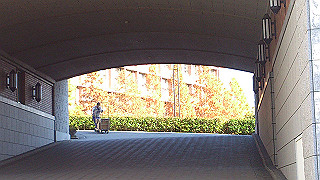 dsc_0886_thumb.jpg