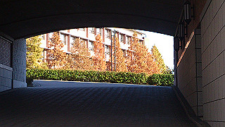 dsc_0888_thumb.jpg