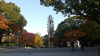 dsc_0892_thumb.jpg
