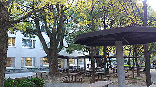 dsc_0899_thumb.jpg