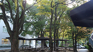 dsc_0900_thumb.jpg