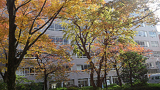 dsc_0903_thumb.jpg