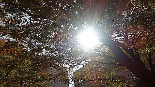 dsc_0904_thumb.jpg