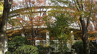dsc_0905_thumb.jpg