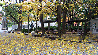 dsc_0921_thumb.jpg