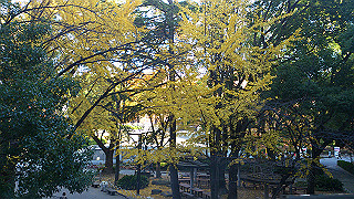 dsc_0923_thumb.jpg