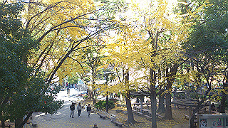 dsc_0924_thumb.jpg