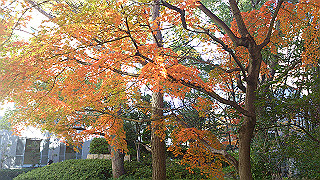 dsc_0925_thumb.jpg