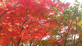 dsc_0927_thumb.jpg