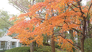 dsc_0935_thumb.jpg