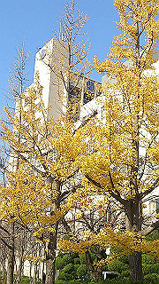 dsc_0938_thumb.jpg