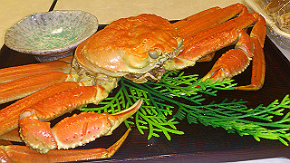 dsc_0994_thumb.jpg