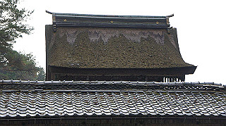 dsc00033_thumb.jpg