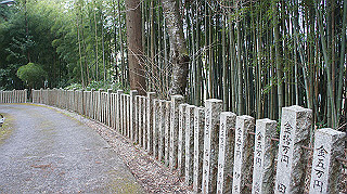 dsc00035_thumb.jpg