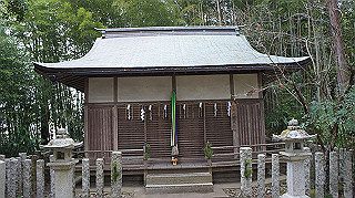 dsc00038_thumb.jpg