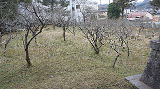dsc00042_thumb.jpg