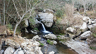 dsc00047_thumb.jpg