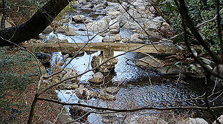 dsc00049_thumb.jpg