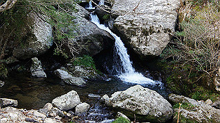 dsc00050_thumb.jpg