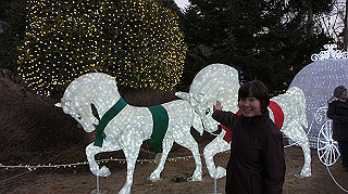 dsc00063_thumb.jpg