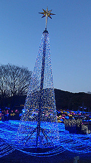 dsc_1017_thumb.jpg