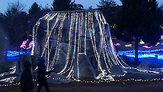 dsc_1020_thumb.jpg