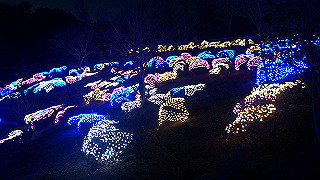 dsc_1027_thumb.jpg