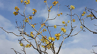 dsc00016_thumb.jpg