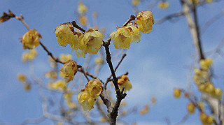 dsc00017_thumb.jpg
