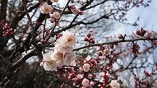 dsc00020_thumb.jpg