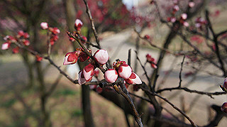 dsc00022_thumb.jpg