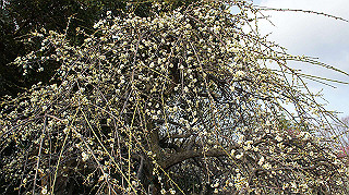 dsc00029_thumb.jpg