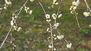 dsc00031_thumb.jpg