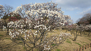 dsc00041_thumb.jpg