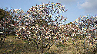 dsc00042_thumb.jpg