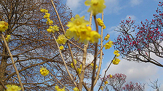 dsc_1076_thumb.jpg